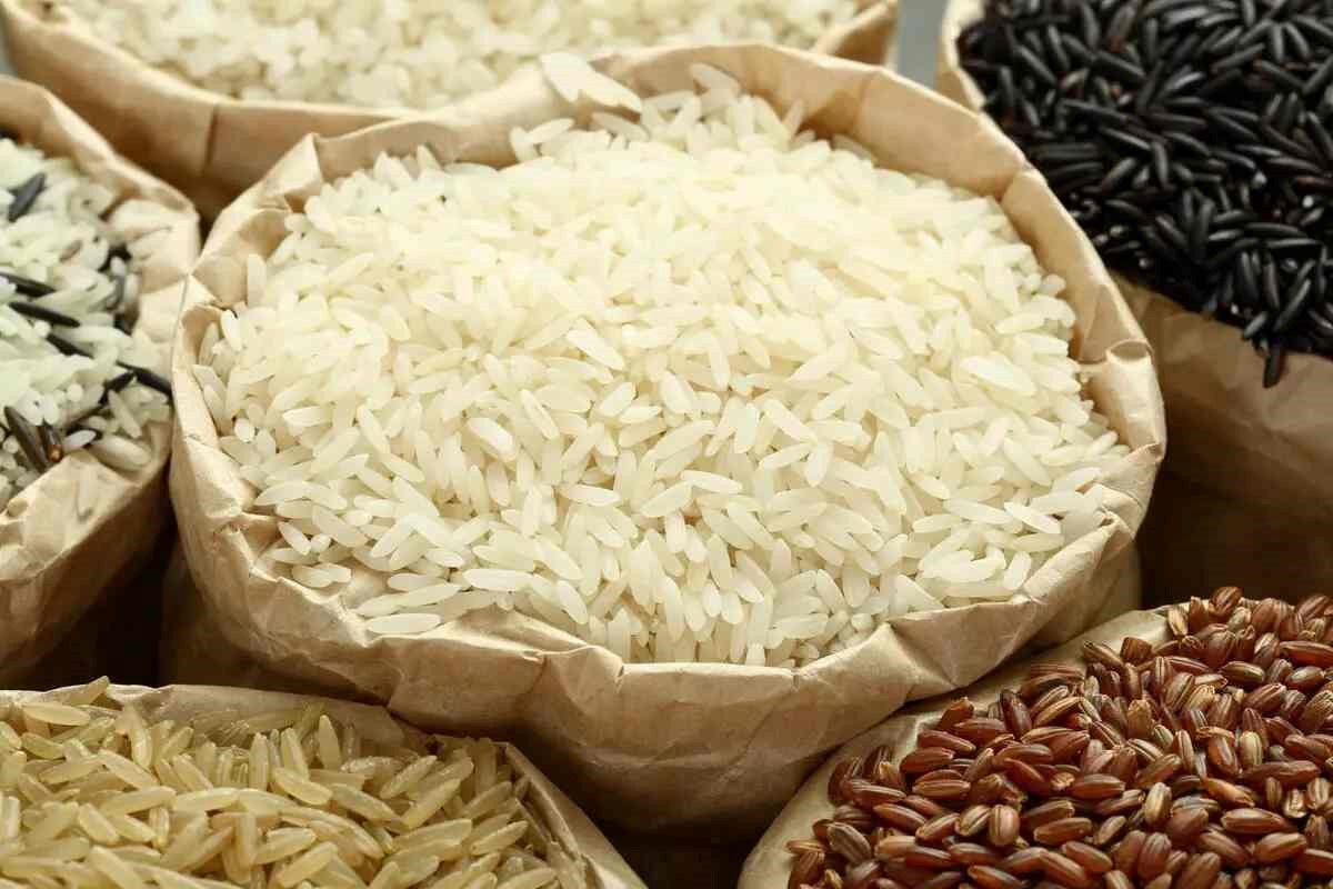 خرید برنج از مشهد برنج