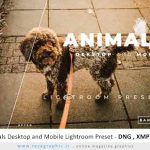 مجموعه پریست لایت روم حیوانات – Animals Desktop and Mobile Lightroom Preset
